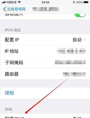 如何通过手机DNS设置提高网络速度（使用正确的DNS服务器可加速手机上网体验）