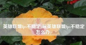 提高LOL游戏FPS的方法（优化电脑性能）