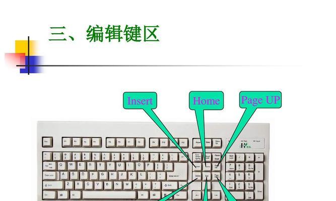 电脑键盘功能基础知识（掌握键盘基本操作）