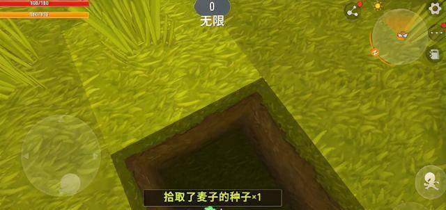 迷你世界更新后小麦种子获得方法大揭秘（快速获取小麦种子的秘籍）