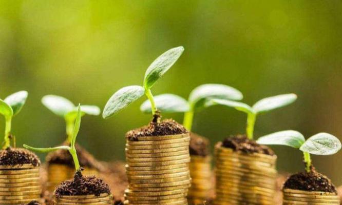 新手理财指南（让你的财富稳步增长的15个实用技巧）
