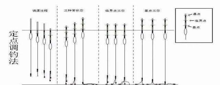 钓鲤鱼调漂技巧（提升钓鲤鱼的成功率）