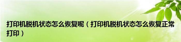 解除脱机状态的方法与技巧（有效应对脱机状态）