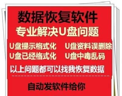 解决U盘写保护问题的强制格式化方法（克服U盘写保护障碍）