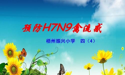 预防禽流感，共同守护健康（有效防控措施及健康生活方式指南）