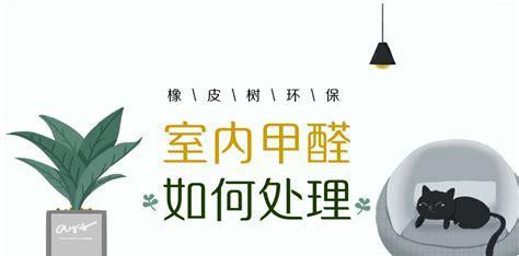 甲醛超标的原因及检测方法（了解甲醛超标的原因和如何进行检测）