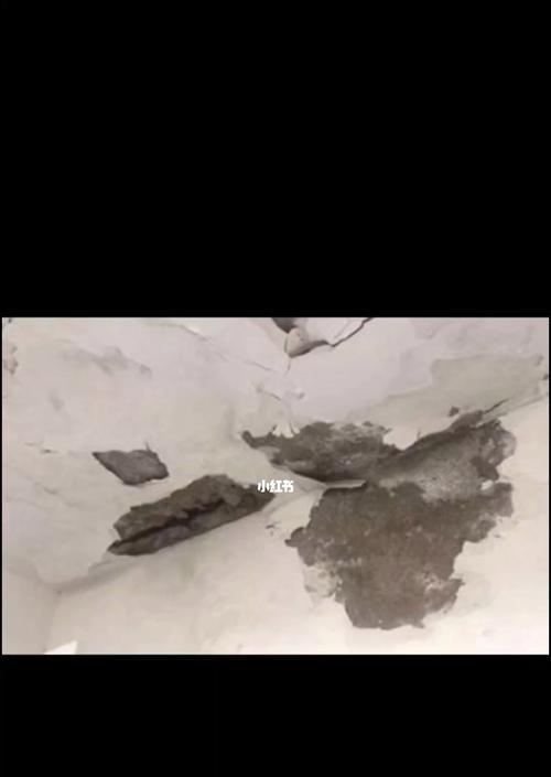 卫生间房顶漏水解决方案（有效应对卫生间房顶漏水的方法及预防措施）
