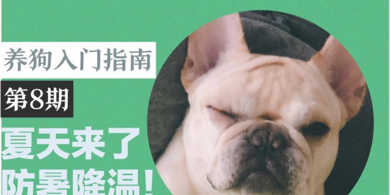 狗狗中暑的原因、预防和应对方法（如何保护宠物狗免受中暑的伤害）