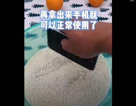 如何判断手机是否彻底干透（掌握关键步骤）