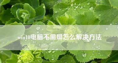 电脑开机后显示器黑屏怎么办？如何快速诊断和解决？