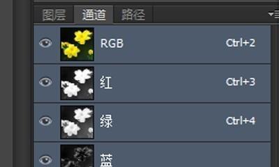 如何快速为选区添加颜色？快捷键是什么？
