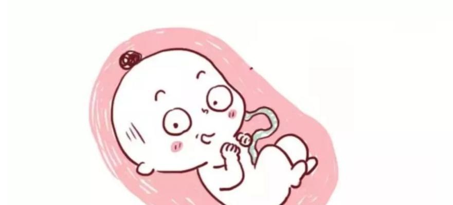 怀孕初期有哪些征兆？如何确认是否真的怀孕了？