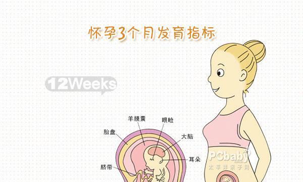 怀孕初期有哪些征兆？如何确认是否真的怀孕了？