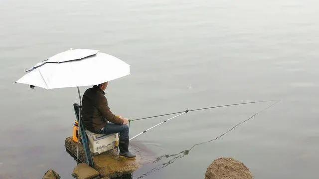 水草多的水域垂钓技巧是什么？如何应对水草多的水域垂钓难题？