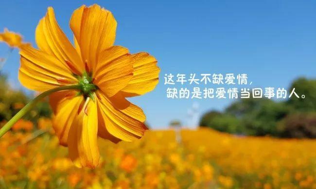 如何用走心句子感谢直播大哥？主播常用感谢语句有哪些？