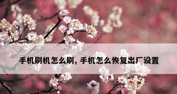 手机桌面时间和日期怎么恢复？常见问题及解决方法是什么？