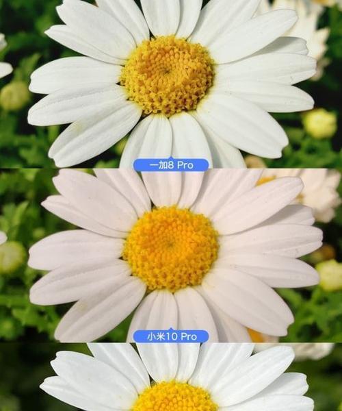 手机拍照时如何设置耳朵边模式？
