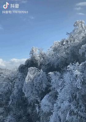 手机取景拍照如何制作动图？