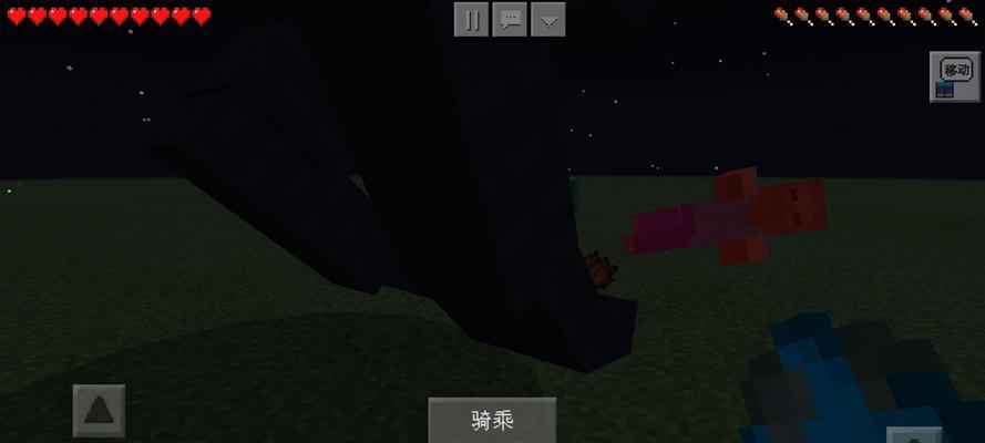 在《我的世界》中如何骑乘龙？需要哪些条件？