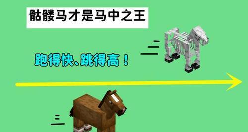 在《我的世界》中如何骑乘龙？需要哪些条件？