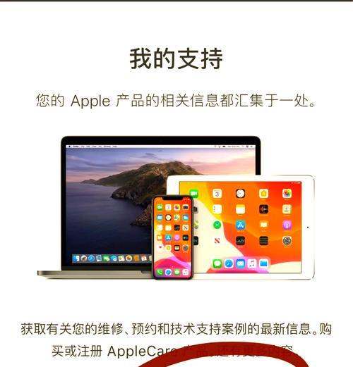 苹果笔记本如何查看设备编号？查找编号的正确步骤是什么？