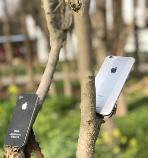 拍照怎么找样张图片呢苹果手机？如何快速找到样张？