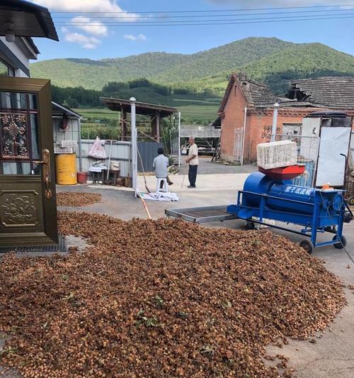 手机如何操作小型榛子摄像头拍照？
