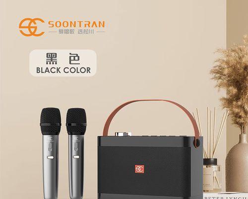 门上小音箱安装步骤是什么？