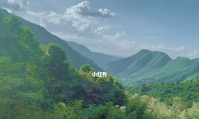 地下城风光密林怎么进？需要满足哪些条件？