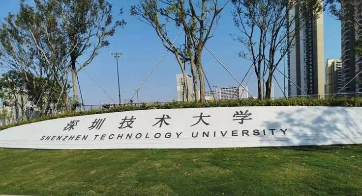 高准度仿真模拟器的使用方法是什么？使用过程中可能会遇到哪些问题？