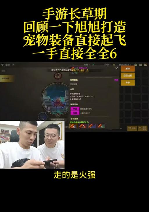 地下城手游删除宠物的步骤是什么？删除后能否恢复？