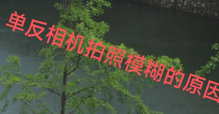 相机镜头模糊如何调整清晰？调整技巧有哪些？