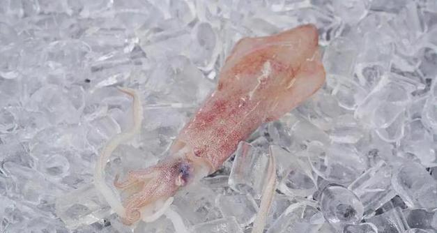 英雄联盟里的鱿鱼怎么玩？鱿鱼英雄的正确玩法和技巧是什么？