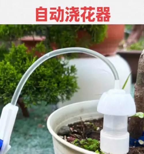 内置网关浇水器使用方法是什么？如何设置自动浇水？
