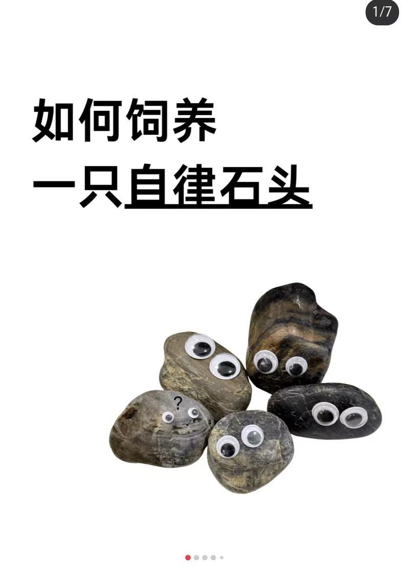洛克王国中石头宠物如何培养？培养石头宠物的最佳方法是什么？