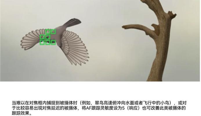索尼相机对焦点校准方法是什么？如何确保对焦准确？