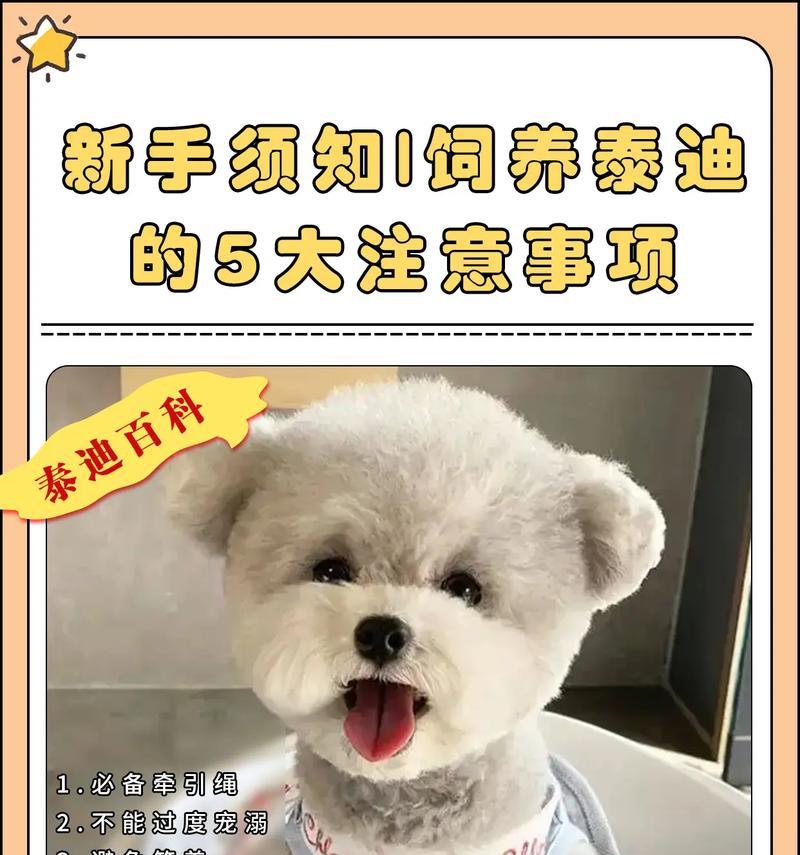 魔兽汗血宝马怎么喂食的？饲养方法和注意事项是什么？