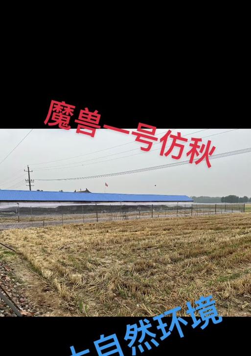 魔兽蛐蛐的正确喊法是什么？喊错会有何影响？