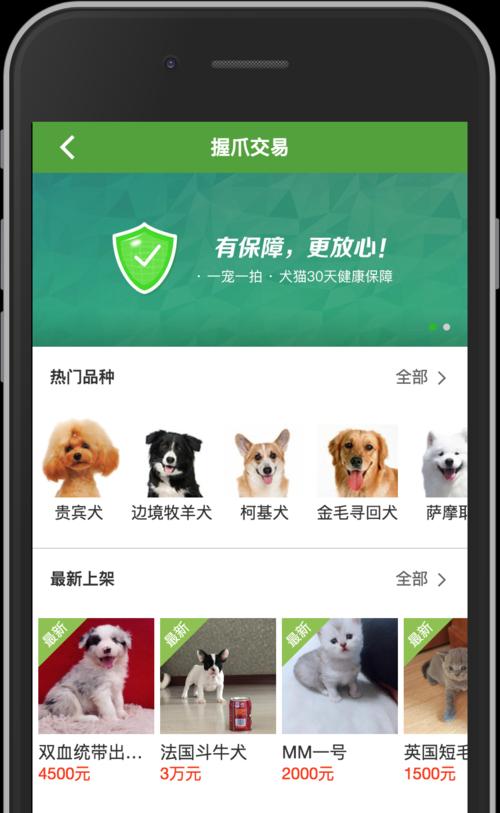 路由器宠物盒的设置步骤是什么？
