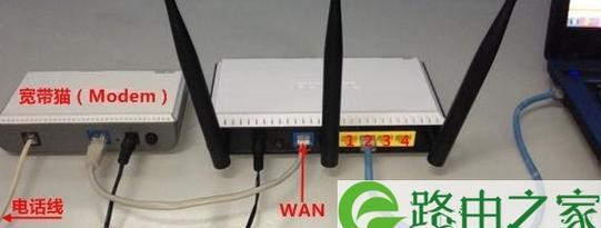 路由器宠物盒的设置步骤是什么？