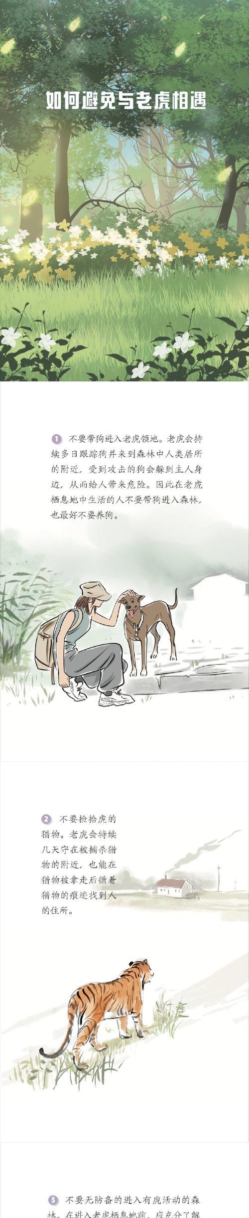 如何应对遇到老虎的危险情况（掌握正确的逃生技巧）