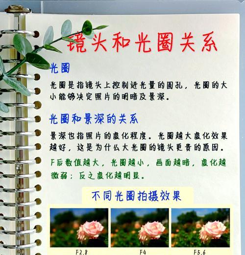 拍摄花朵时应该使用哪种相机和镜头？如何选择合适的设备？