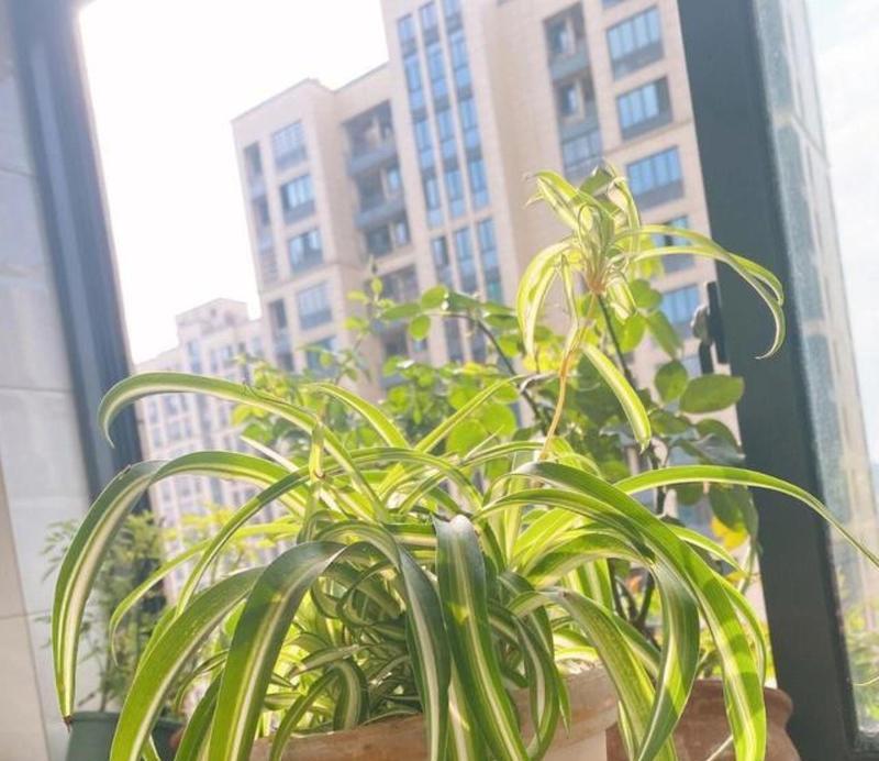 秋天养护秘籍