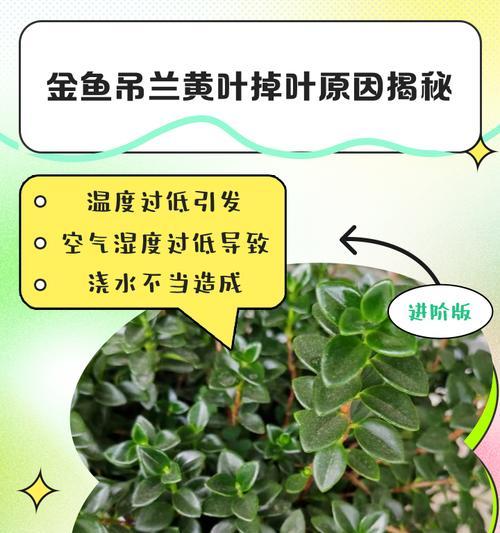 秋天养护秘籍