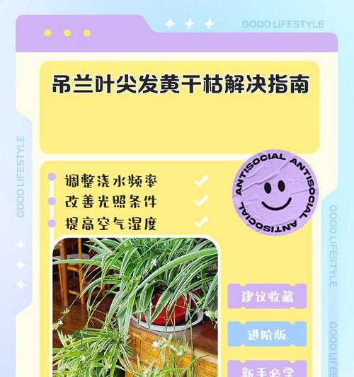 秋天养护秘籍